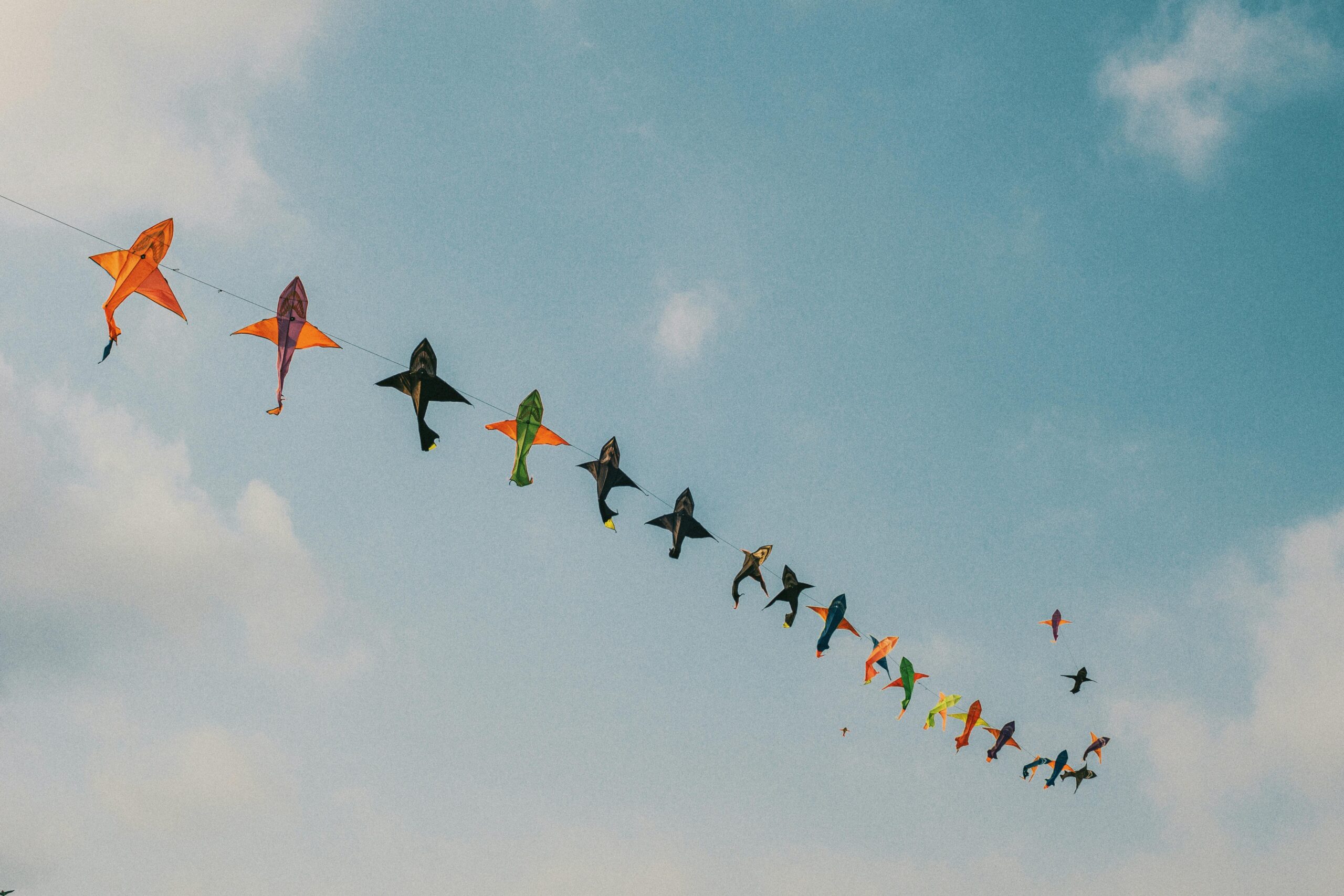 Kite Festival Hyderabad